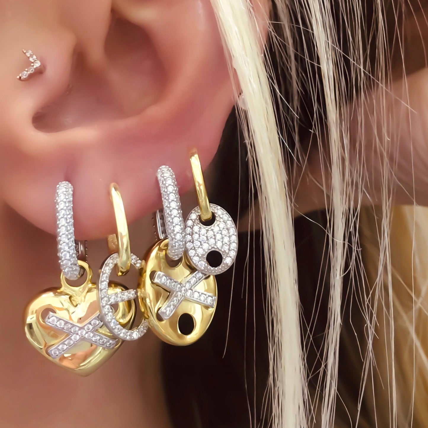 Two Color Anchor Link Earring