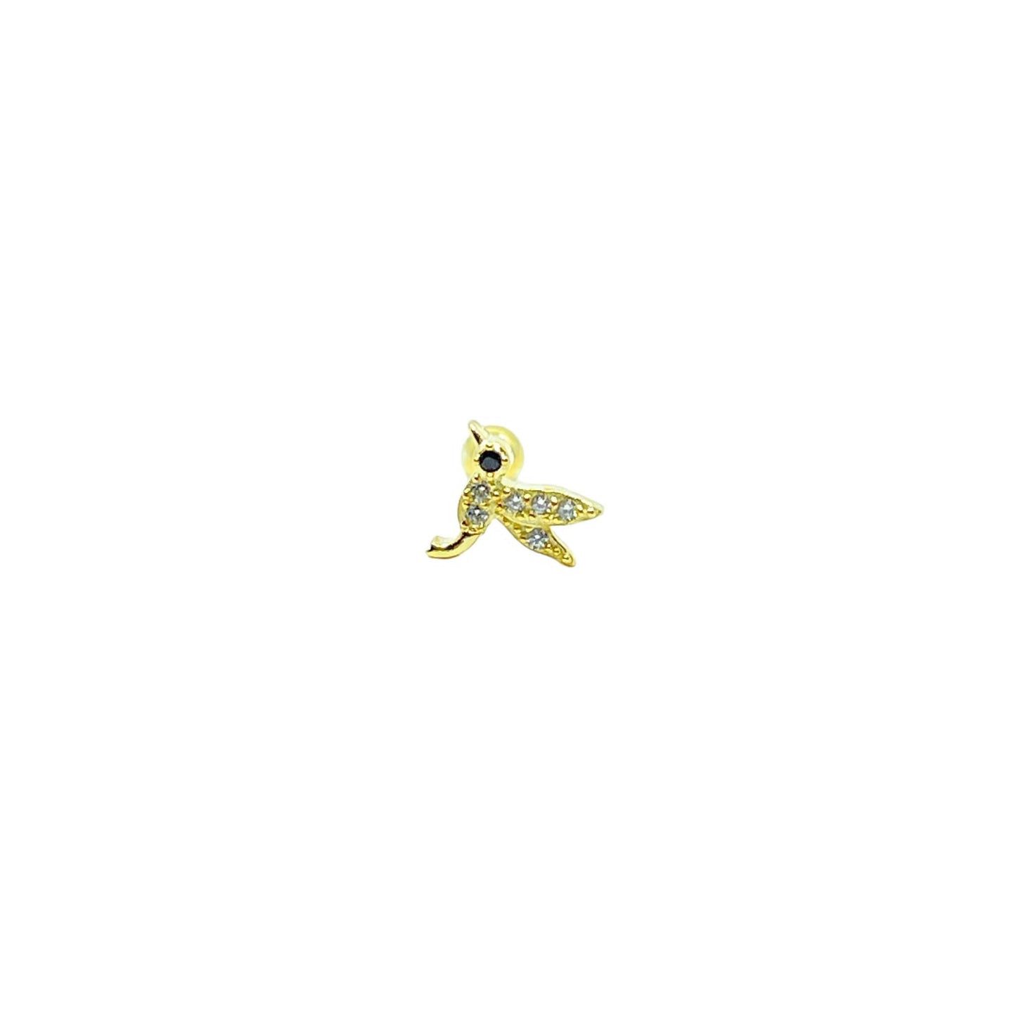 Luci 21 Piercing