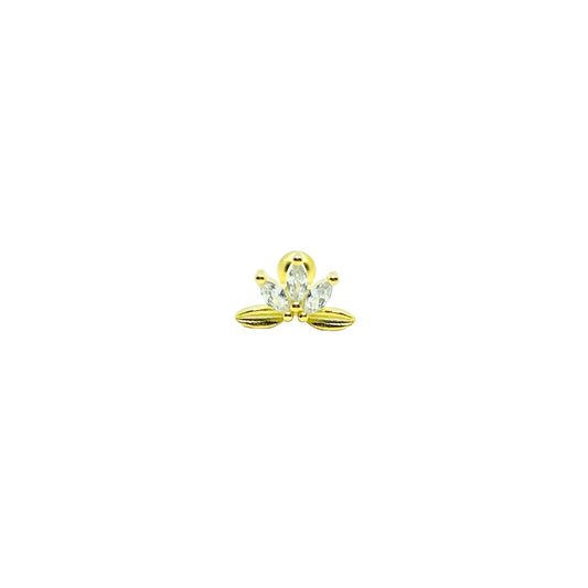 Luci 32 Piercing